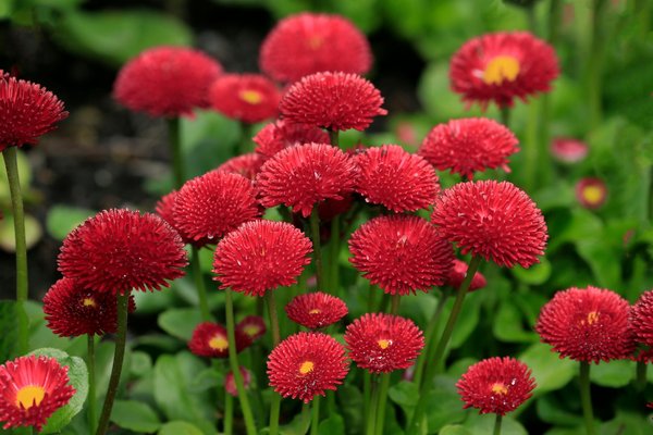 Découvrez aurlane : une solution économique pour une salle de bain chic